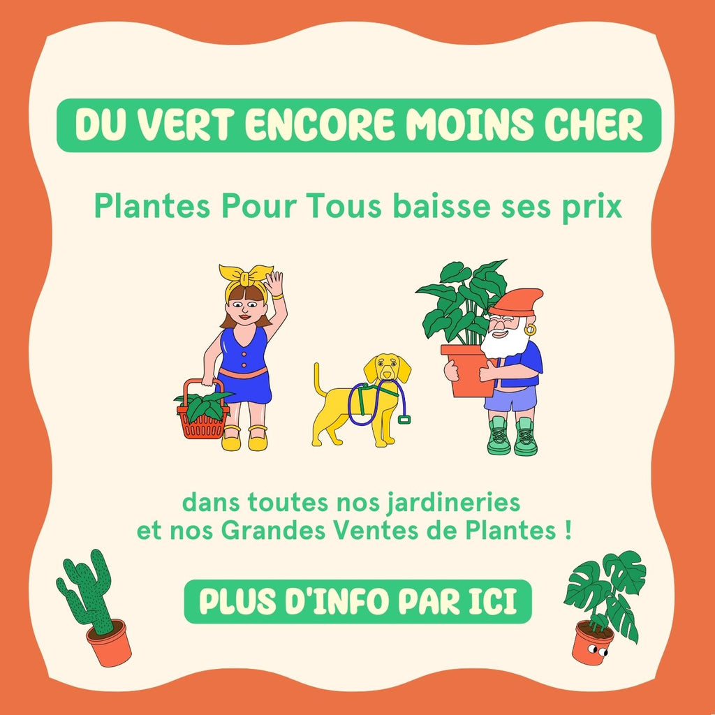 On baisse nos prix 🌿