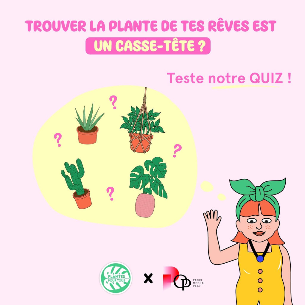 On te guide pour trouver la plante idéale pour ton chez-toi