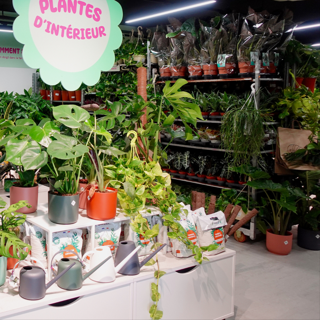 On a ouvert une nouvelle jardinerie !