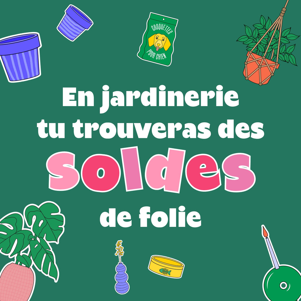 C'est les soldes chez Plantes Pour Tous !