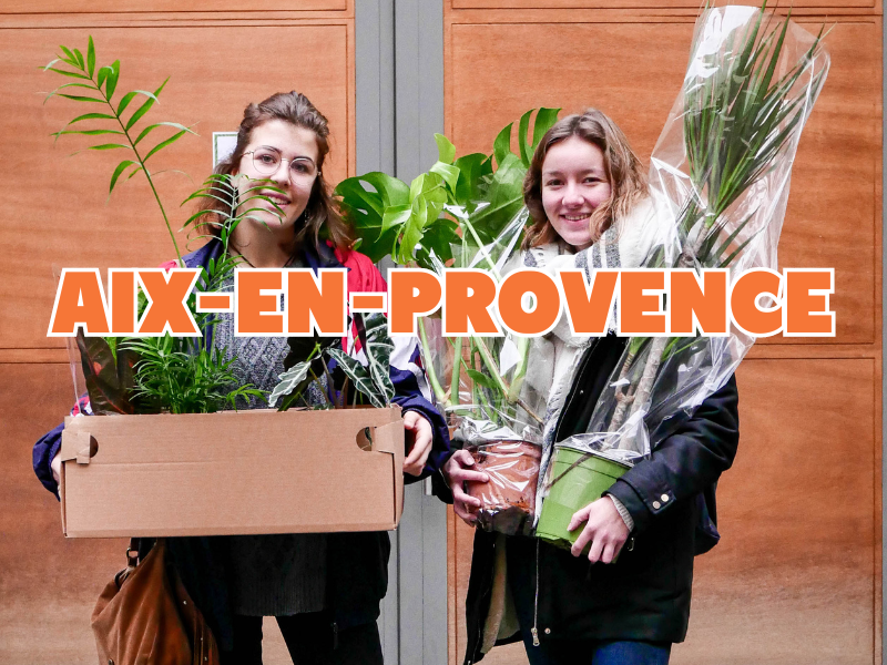 GRANDE VENTE DE PLANTES AIX-EN-PROVENCE