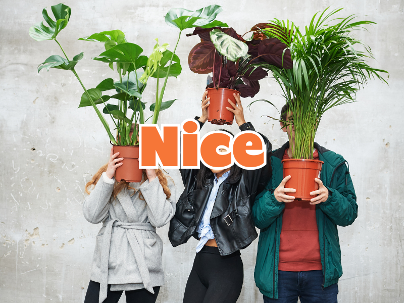 GRANDE VENTE DE PLANTES NICE