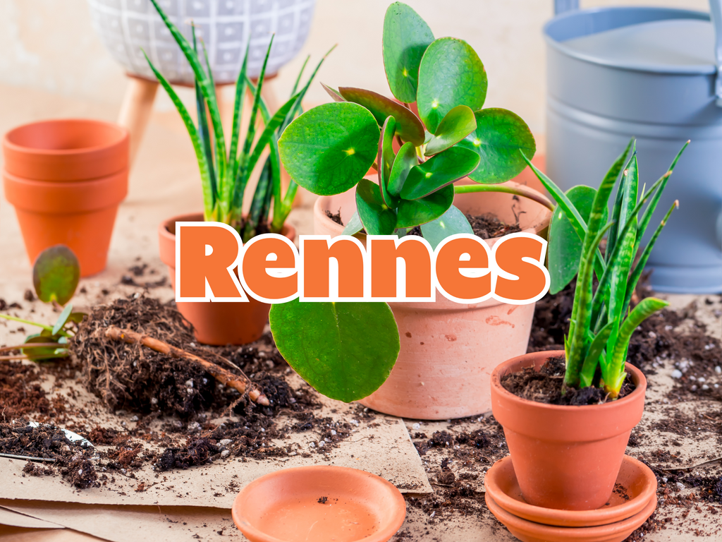 GRANDE VENTE DE PLANTES RENNES