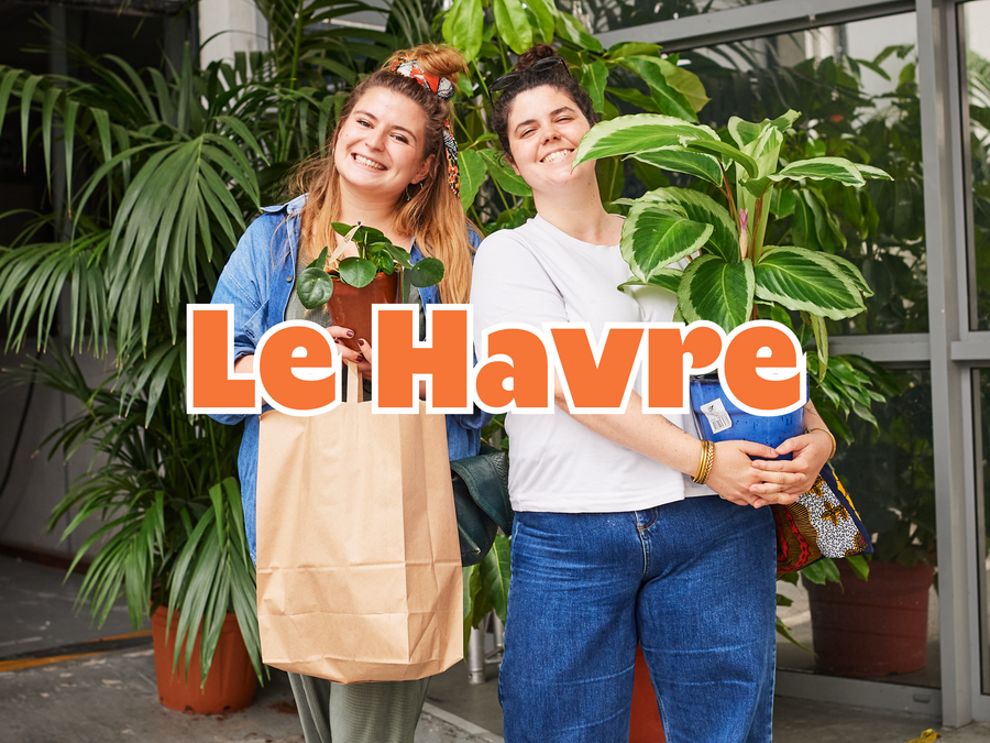 GRANDE VENTE DE PLANTES LE HAVRE