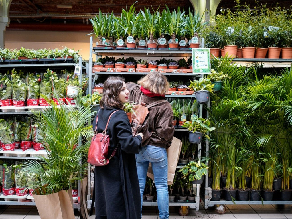 GRANDE VENTE DE PLANTES NANTES