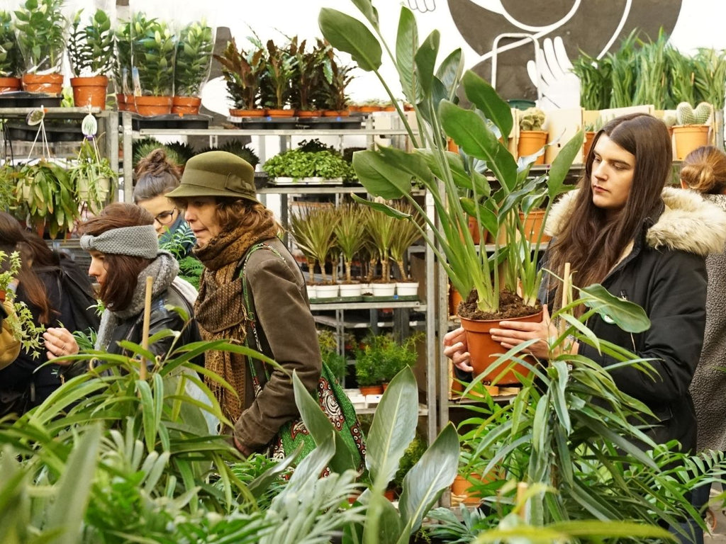 GRANDE VENTE DE PLANTES LYON