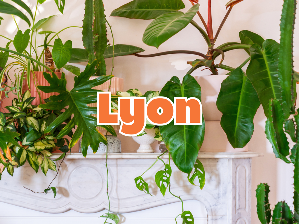 GRANDE VENTE DE PLANTES LYON