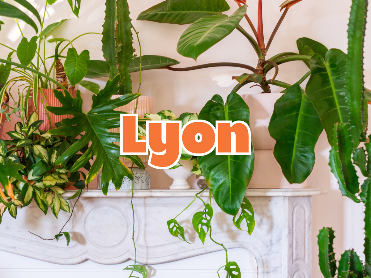 Grande vente de Plantes LYON(Évènement) Plantes Pour Tous