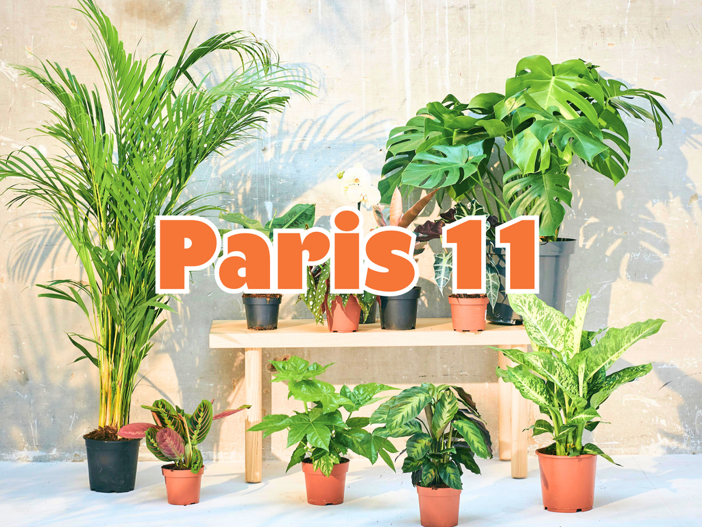 GRANDE VENTE DE PLANTES PARIS 11