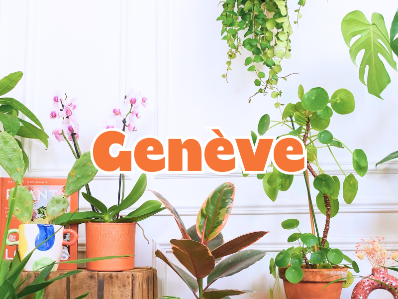 GRANDE VENTE DE PLANTES GENÈVE