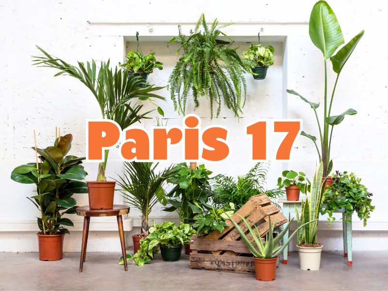 GRANDE VENTE DE PLANTES PARIS 17
