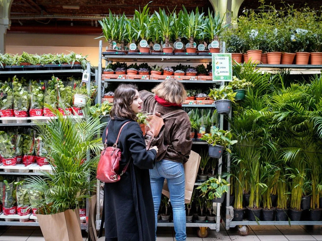 GRANDE VENTE DE PLANTES BREST