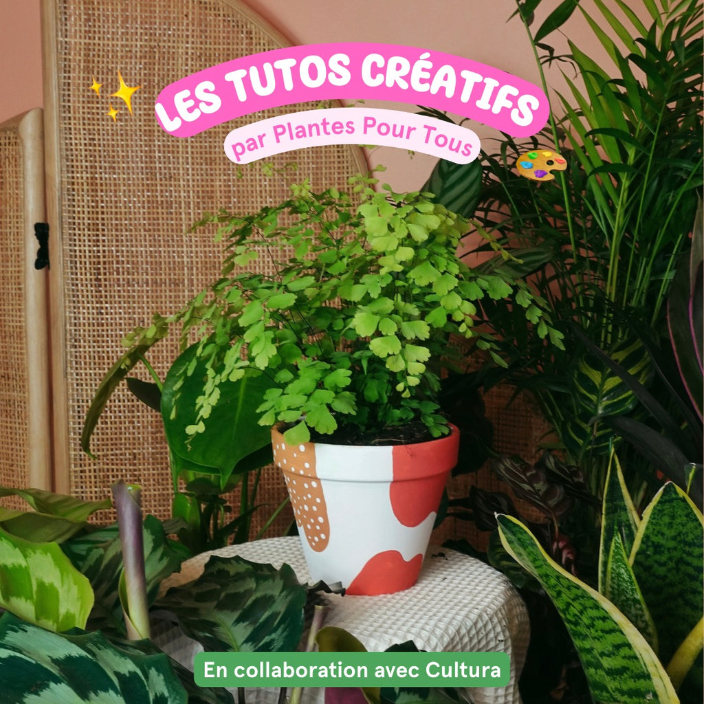 Les tutos créatifs par Plantes Pour Tous ! 🎨