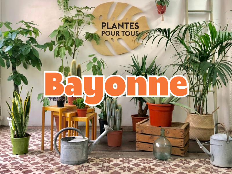 GRANDE VENTE DE PLANTES BAYONNE