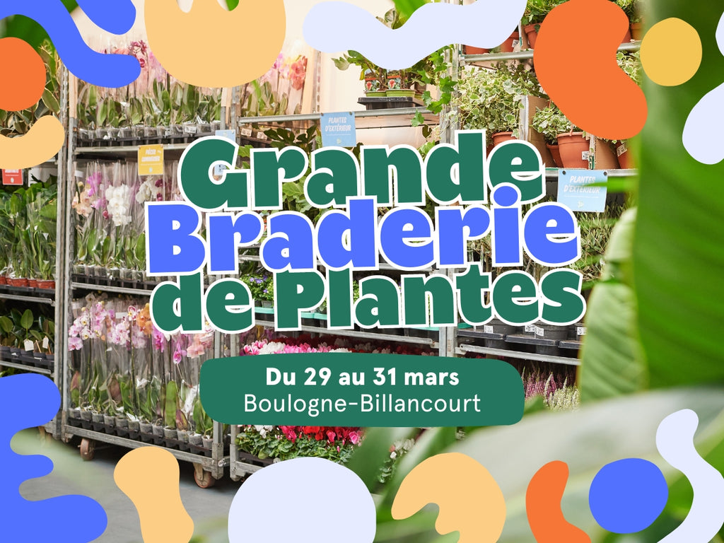 GRANDE VENTE DE PLANTES BOULOGNE-BILLANCOURT