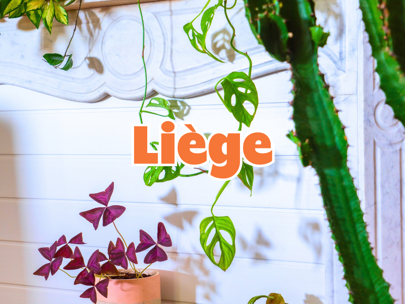 GRANDE VENTE DE PLANTES LIÈGE