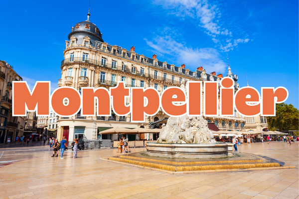 Grande Vente de Plantes MONTPELLIER
