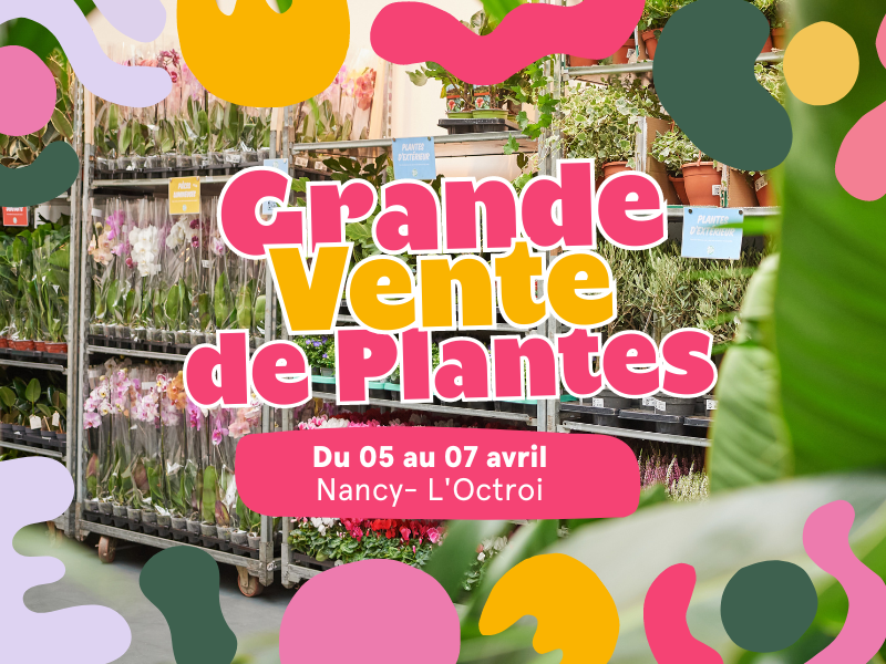 GRANDE VENTE DE PLANTES NANCY