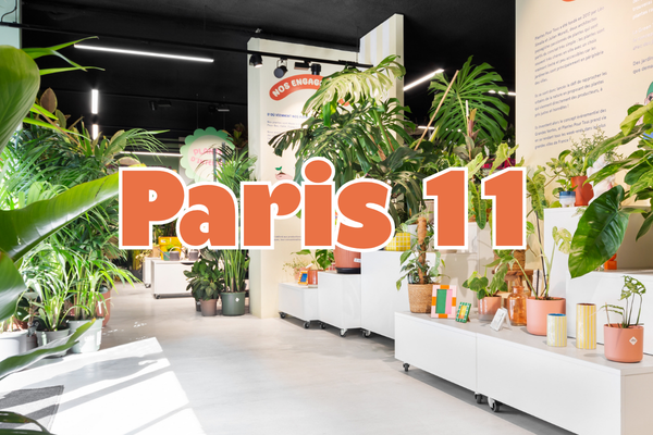 GRANDE VENTE DE PLANTES PARIS 11