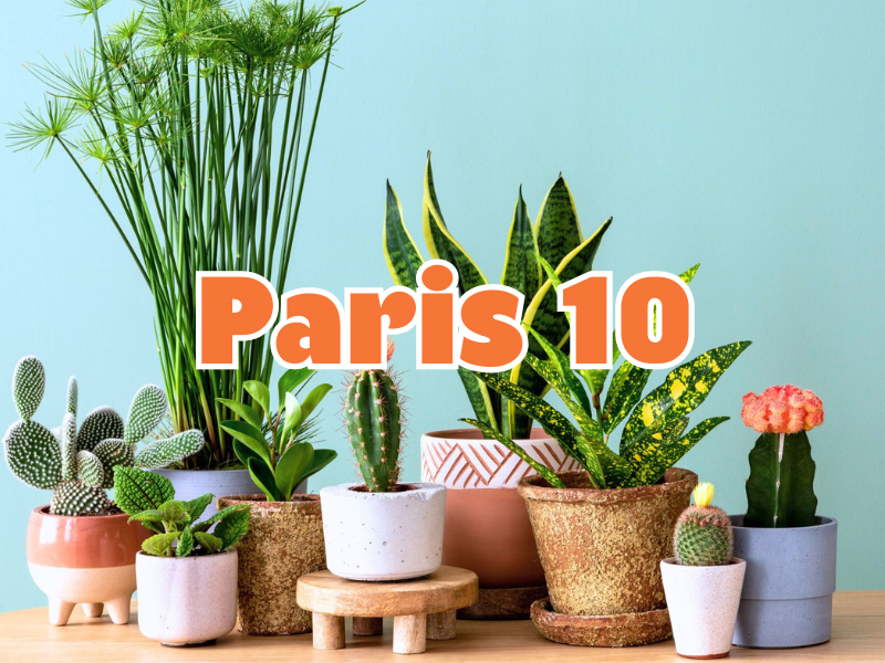 GRANDE VENTE DE PLANTES PARIS 10