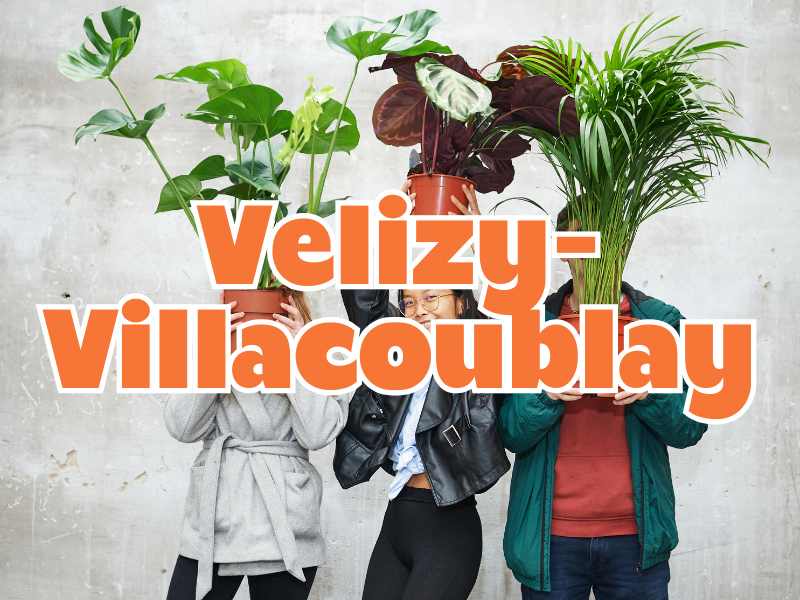 GRANDE VENTE DE PLANTES VELIZY