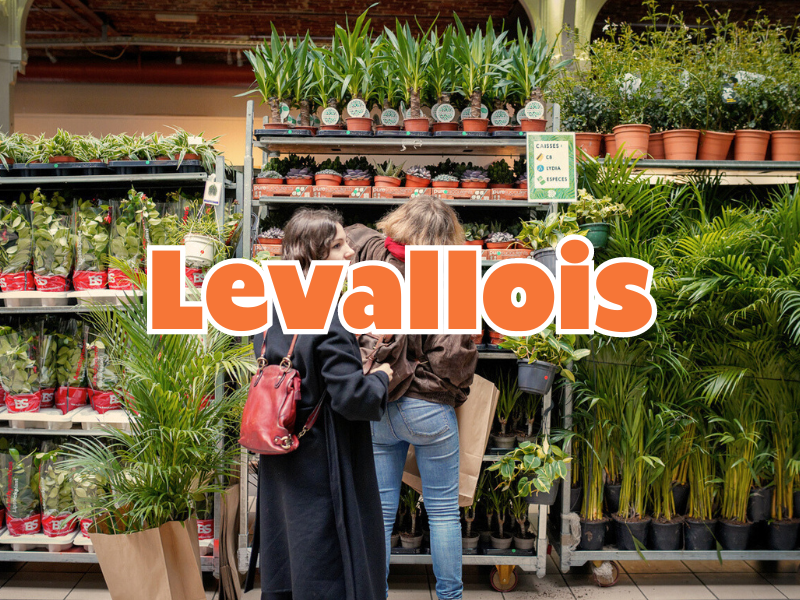 GRANDE VENTE DE PLANTES LEVALLOIS