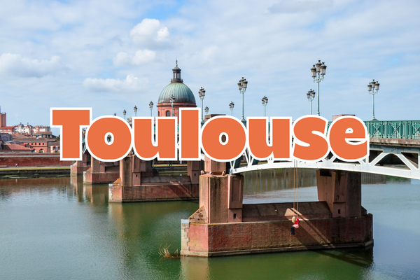 Grande Vente de Plantes TOULOUSE