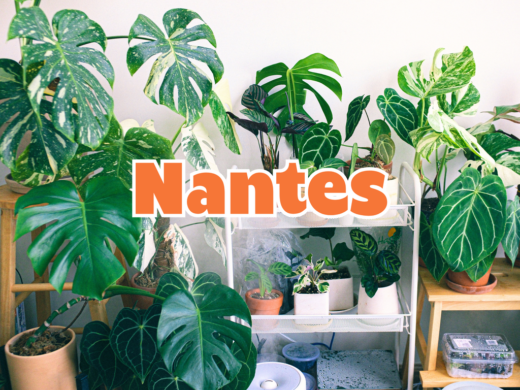 GRANDE VENTE DE PLANTES NANTES