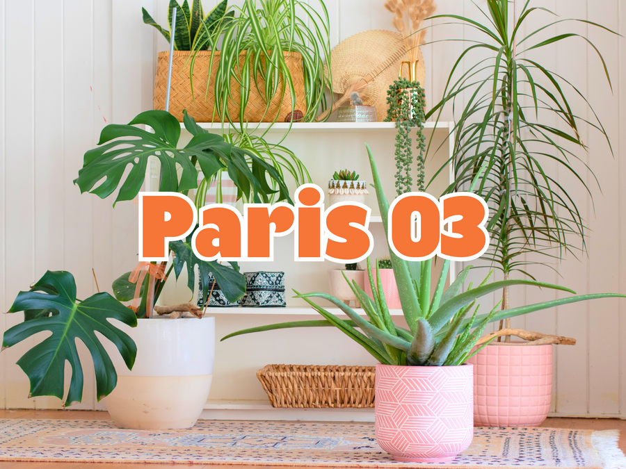 GRANDE VENTE DE PLANTES PARIS 03