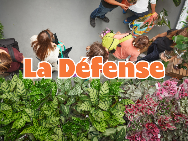 GRANDE VENTE DE PLANTES LA DÉFENSE