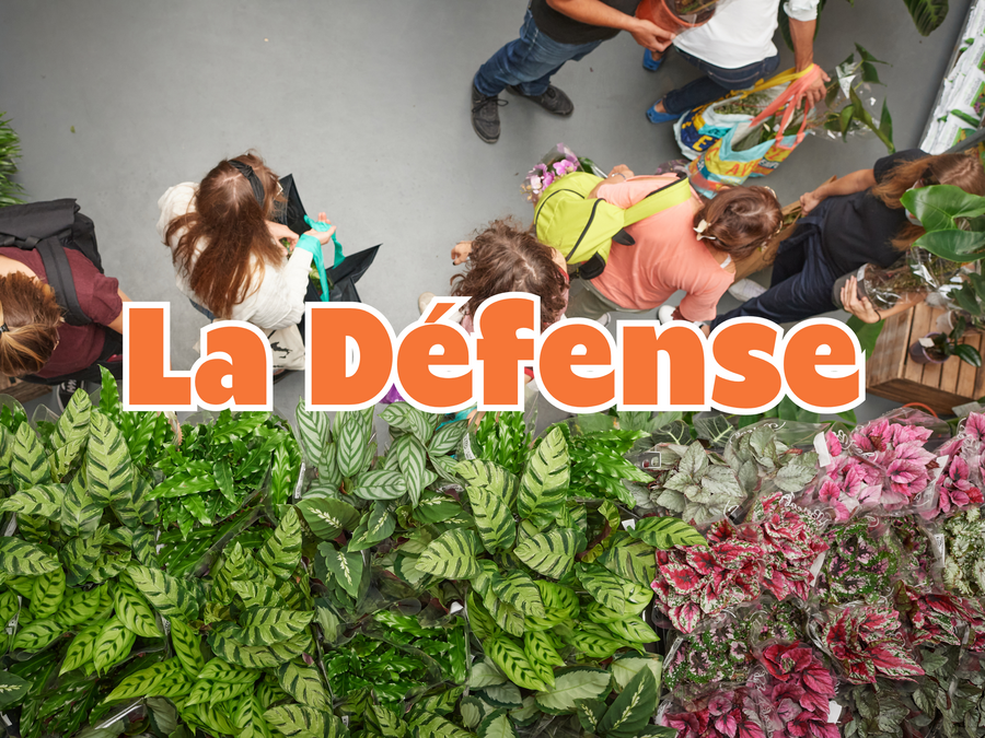 GRANDE VENTE DE PLANTES LA DÉFENSE