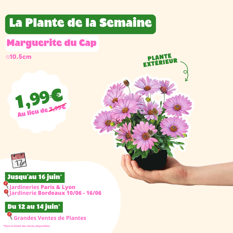 Plantes pour tous - La jardinerie urbaine et responsable  petit prix   Plantes Pour Tous