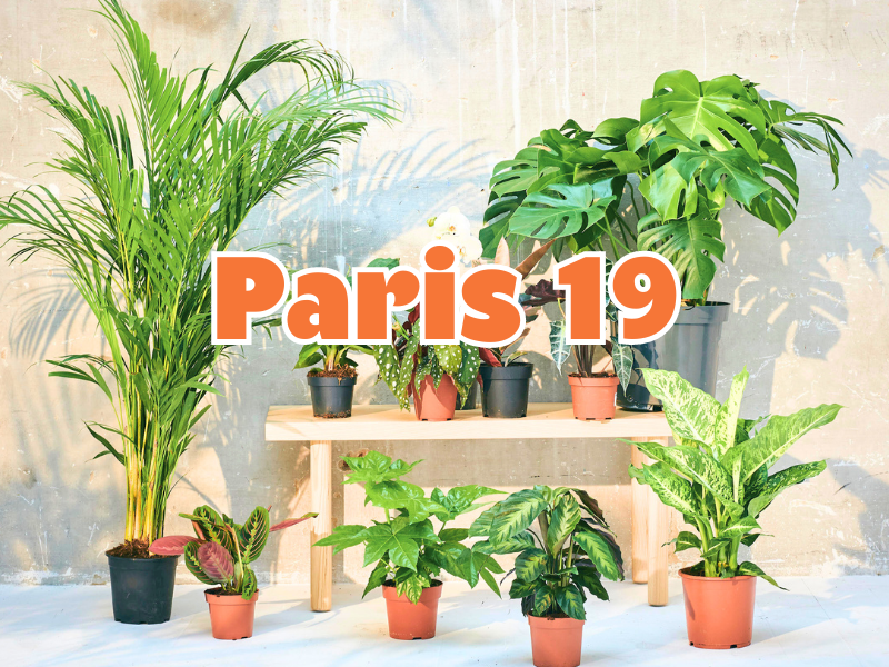 GRANDE VENTE DE PLANTES PARIS 19