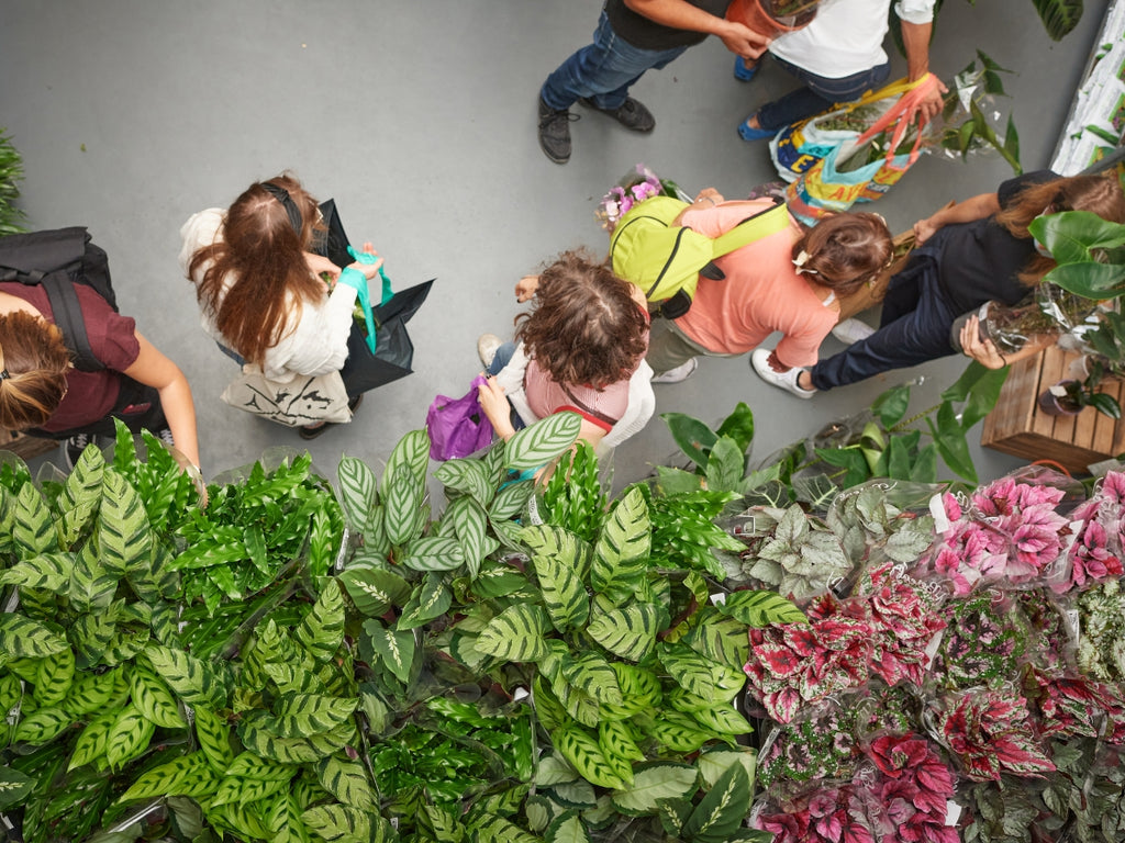 GRANDE VENTE DE PLANTES LIÈGE