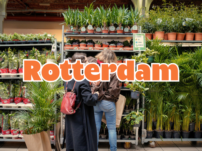 THE BIG PLANT POP-UP - ROTTERDAM