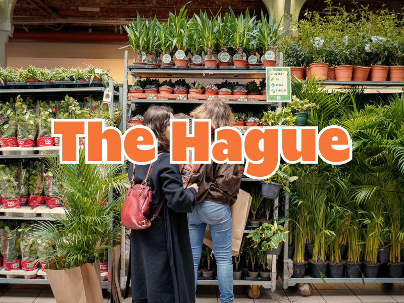 THE BIG PLANT POP-UP - THE HAGUE