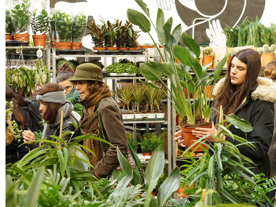 Grande Vente de Plantes REIMS
