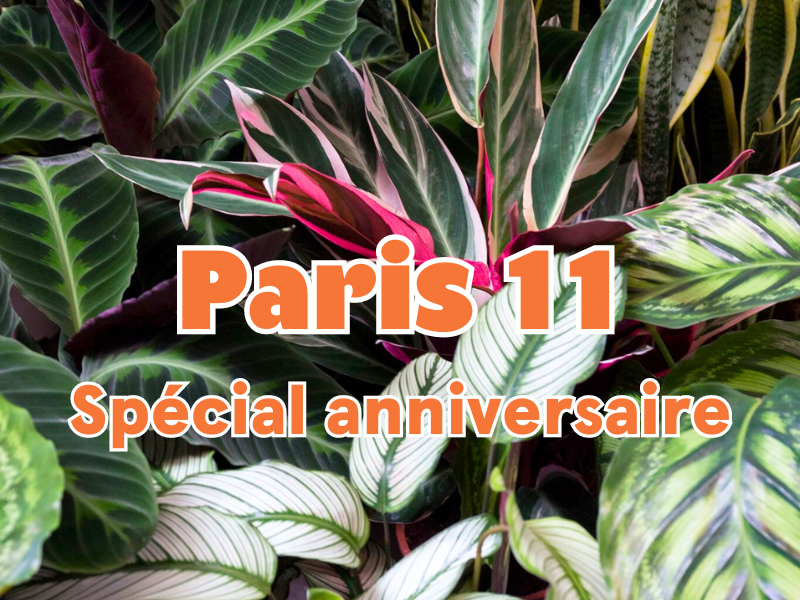 GRANDE VENTE DE PLANTES SPECIALE ANNIVERSAIRE