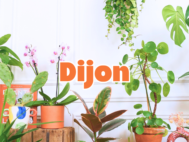 GRANDE VENTE DE PLANTES DIJON