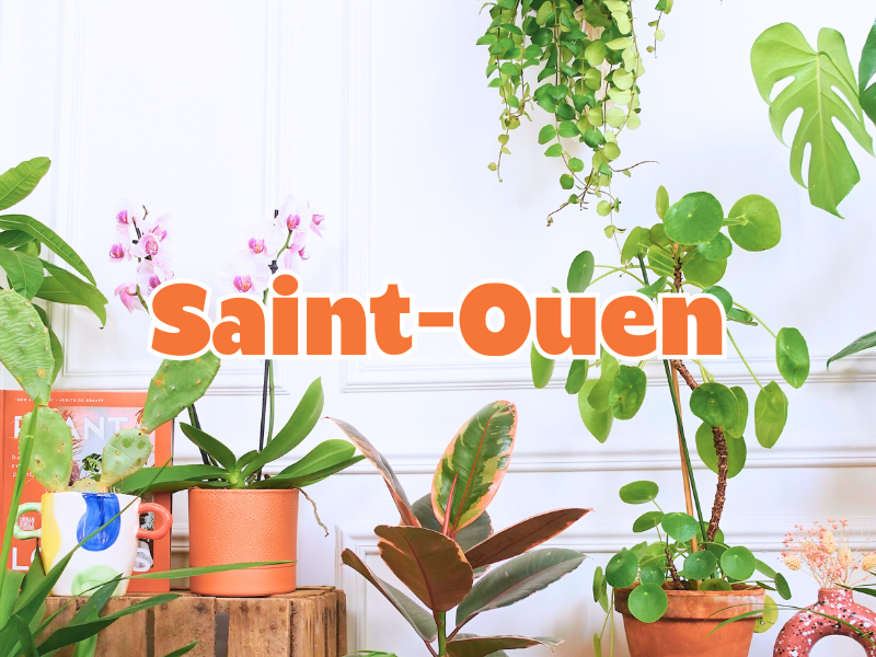 GRANDE VENTE DE PLANTES SAINT OUEN