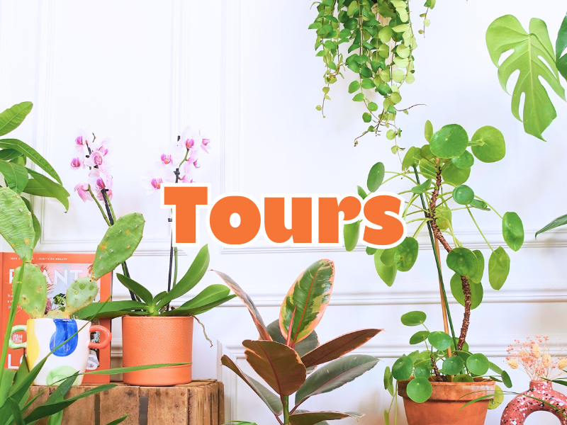 GRANDE VENTE DE PLANTES TOURS