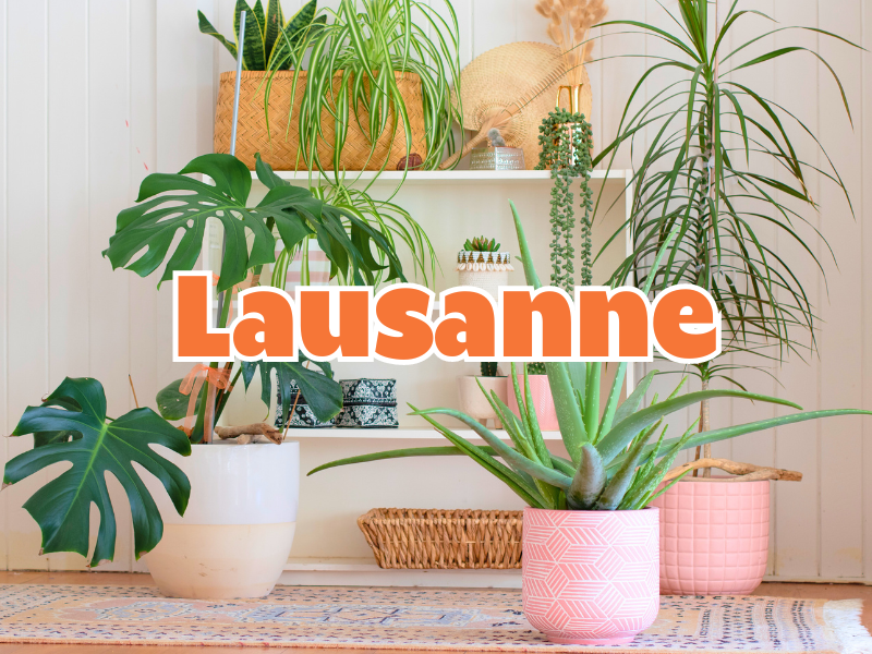 GRANDE VENTE DE PLANTES LAUSANNE