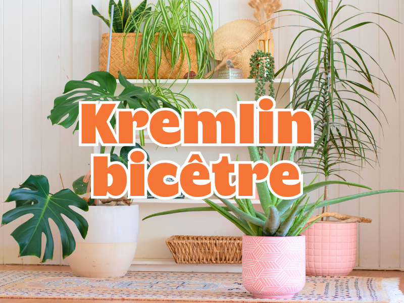 GRANDE VENTE DE PLANTES KREMLIN-BICÊTRE