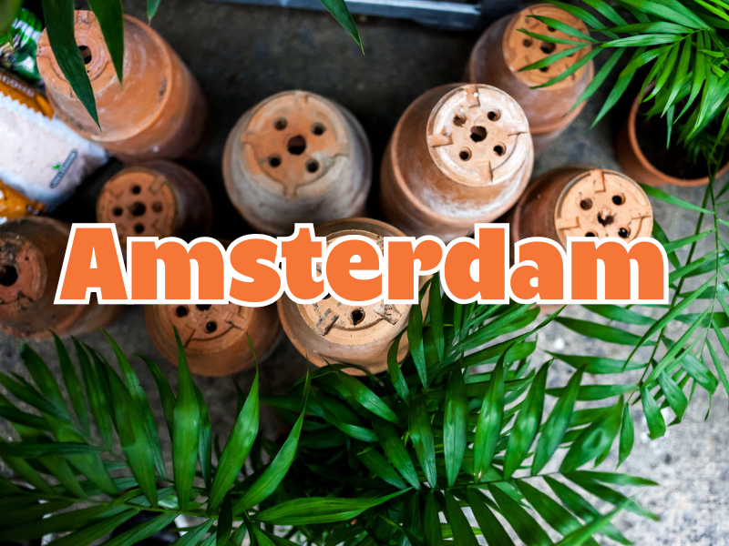 THE BIG PLANT POP-UP - AMSTERDAM