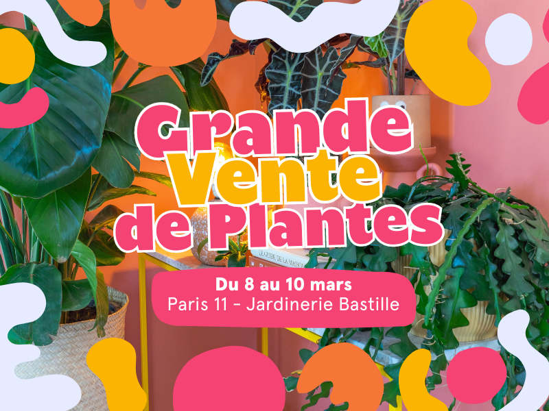 GRANDE VENTE DE PLANTES PARIS 11