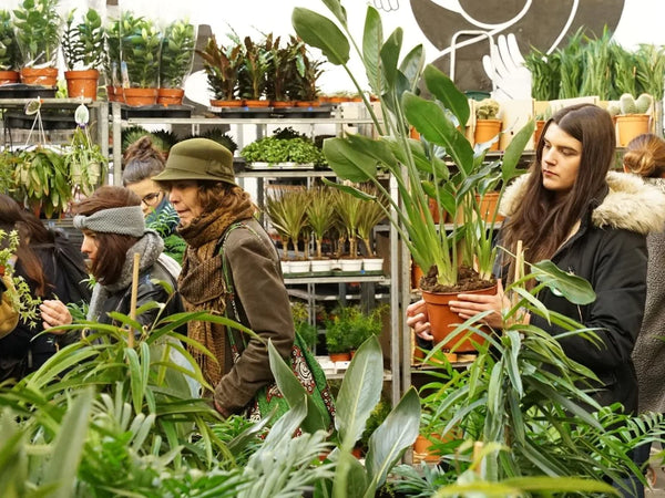 GRANDE VENTE DE PLANTES PARIS 19